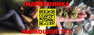 a pvp Краснознаменск