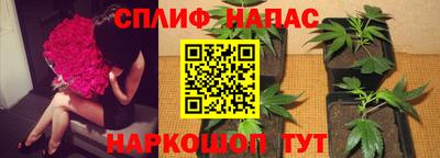 a pvp Краснознаменск