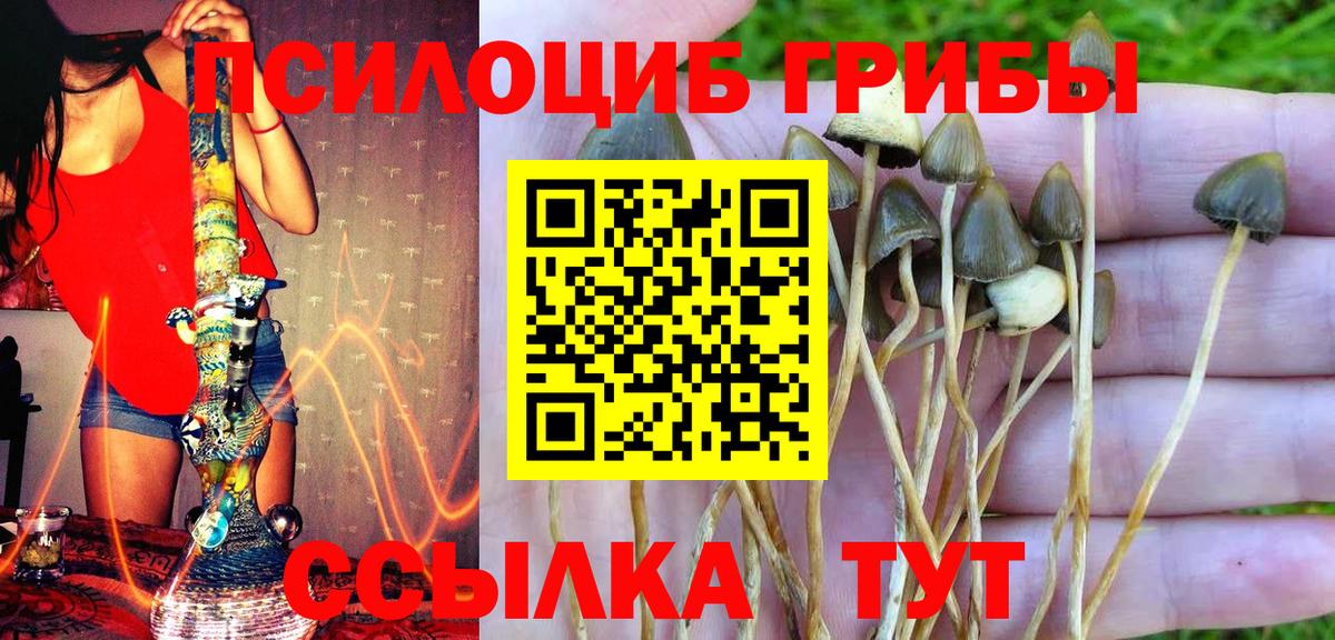 Галлюциногенные грибы Magic Shrooms  как найти наркотики  Коломна  Псилоцибиновые грибы мухоморы  Вход с VPN 